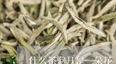 什么茶泡开是一朵花/2023031903735