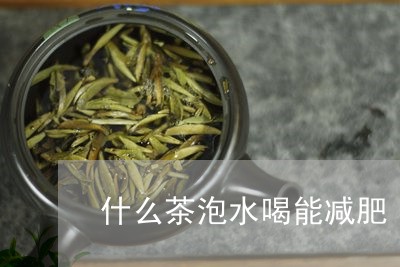 什么茶泡水喝能减肥/2023031984248