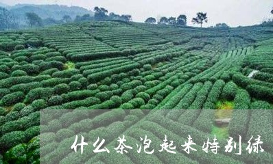 什么茶泡起来特别绿/2023031991626