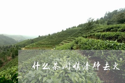 什么茶润喉清肺去火/2023041599271