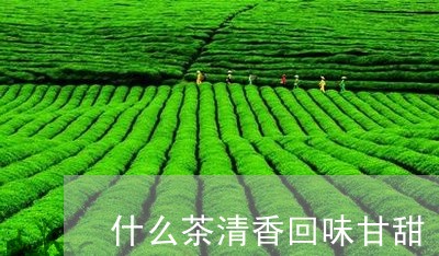 什么茶清香回味甘甜/2023041520482