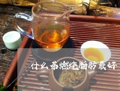 什么茶燃烧脂肪最好/2023031979491