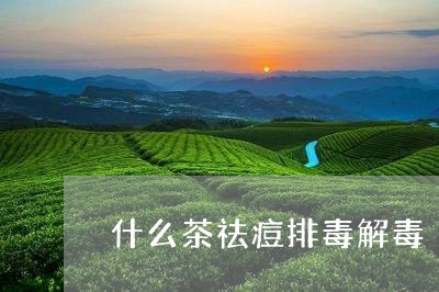 什么茶祛痘排毒解毒/2023031913815