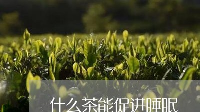 什么茶能促进睡眠/2023032365248