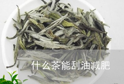 什么茶能刮油减肥/2023032446036