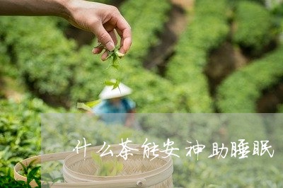 什么茶能安神助睡眠/2023041541495