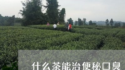 什么茶能治便秘口臭/2023041558251