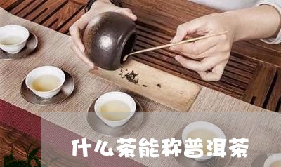 什么茶能称普洱茶/2023031688484