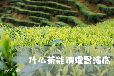 什么茶能调理胃溃疡/2023041592857