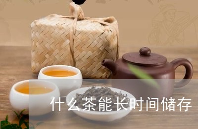 什么茶能长时间储存/2023031950493