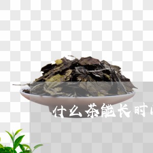 什么茶能长时间泡着/2023041503827