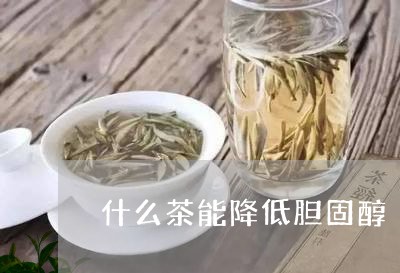 什么茶能降低胆固醇/2023041537269