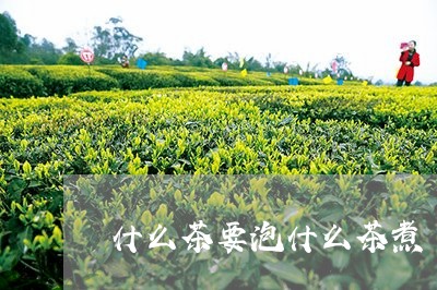 什么茶要泡什么茶煮/2023031985150