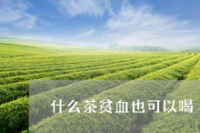 什么茶贫血也可以喝/2023041544915