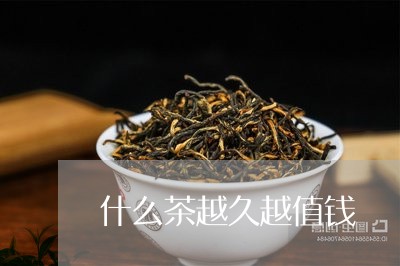 什么茶越久越值钱/2023032393036