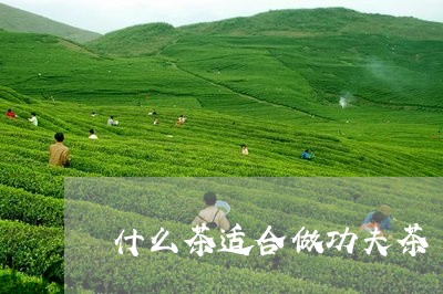 什么茶适合做功夫茶/2023031966260