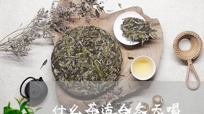 什么茶适合冬天喝/2023032324837