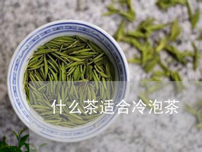 什么茶适合冷泡茶/2023032576261