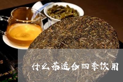 什么茶适合四季饮用/2023031994927