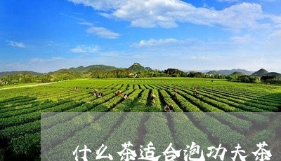 什么茶适合泡功夫茶/2023041675037