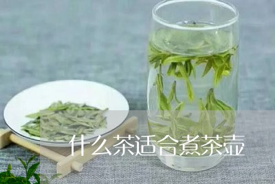 什么茶适合煮茶壶/2023032375259