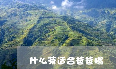 什么茶适合爸爸喝/2023032323726