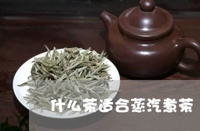 什么茶适合蒸汽煮茶/2023032054916