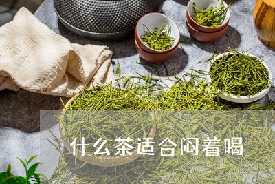 什么茶适合闷着喝/2023032388472