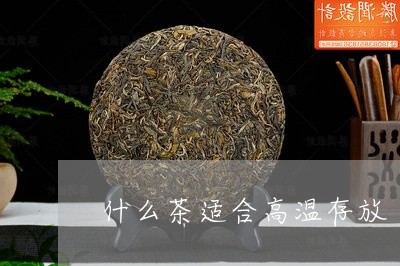 什么茶适合高温存放/2023031926470