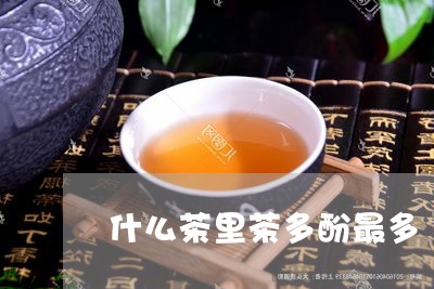 什么茶里茶多酚最多/2023041550405