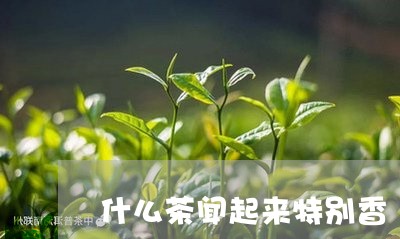 什么茶闻起来特别香/2023031948582