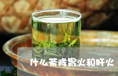 什么茶降胃火和肝火/2023041562837