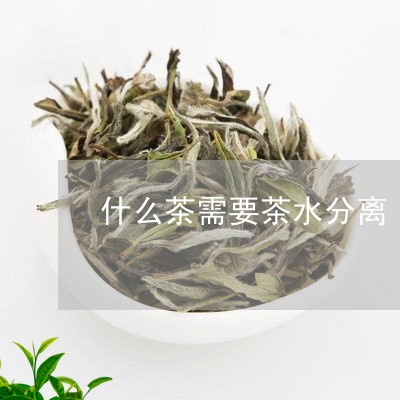 什么茶需要茶水分离/2023041596950