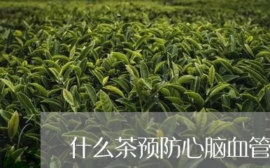 什么茶预防心脑血管/2023041559262