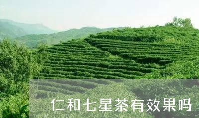 仁和七星茶有效果吗/2023031958373