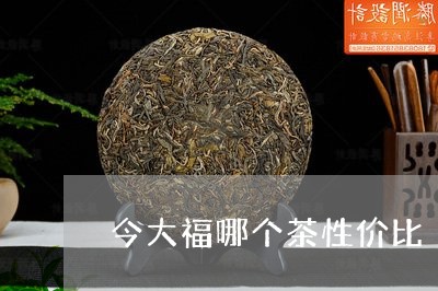 今大福哪个茶性价比/2023041605048