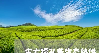 今大福孔雀生态熟饼/2023032091828