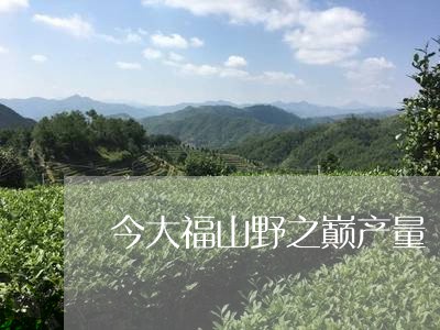 今大福山野之巅产量/2023032088814