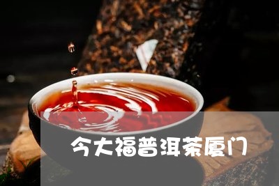 今大福普洱茶厦门/2023031695058