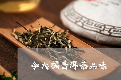 今大福普洱茶品味/2023031649391