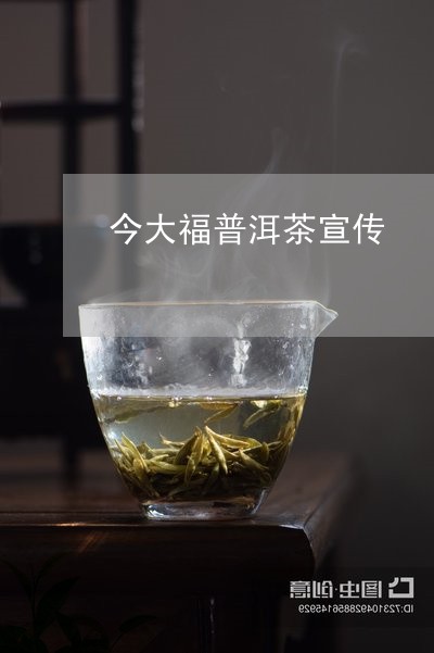 今大福普洱茶宣传/2023033099516