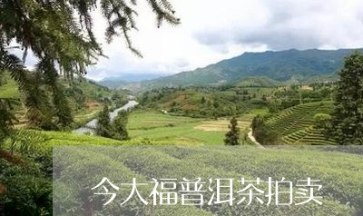 今大福普洱茶拍卖/2023033115042