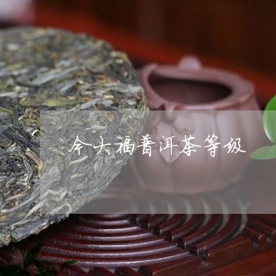 今大福普洱茶等级/2023040150705