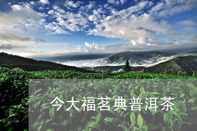 今大福茗典普洱茶/2023033162615