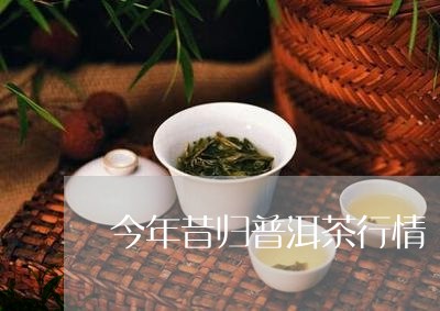 今年昔归普洱茶行情/2023031905837