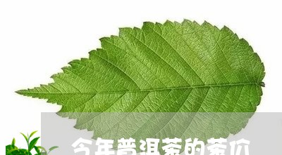 今年普洱茶的茶价/2023031561705