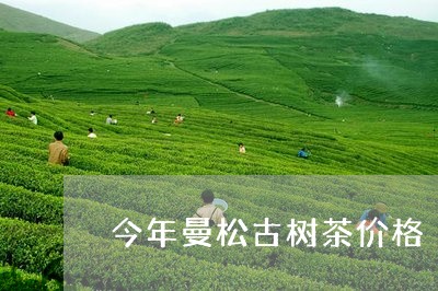 今年曼松古树茶价格/2023041484826