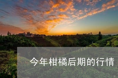 今年柑橘后期的行情/2023041625138