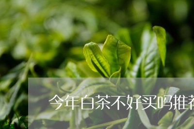 今年白茶不好买吗推荐/2023040127582