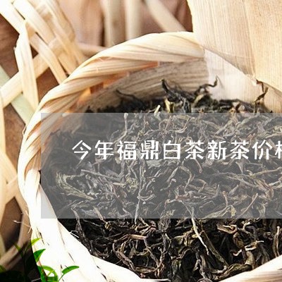 今年福鼎白茶新茶价格如何/2023040195068